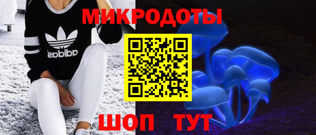 Псилоцибиновые грибы прущие грибы Тула